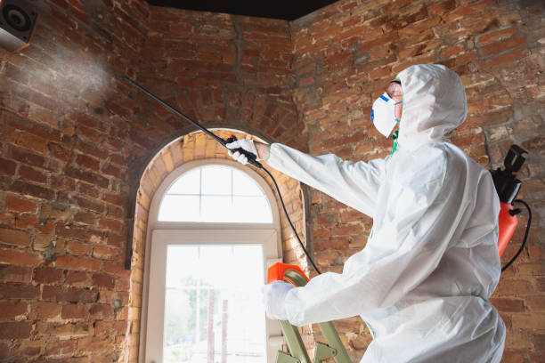 Best Commercial Mold Inspection  in Auburn, IL